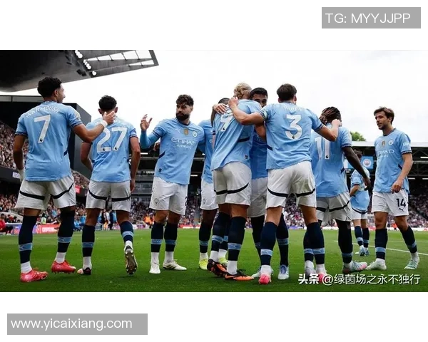 足总杯精彩对决曼城逆转里昂展现强大实力与团队配合